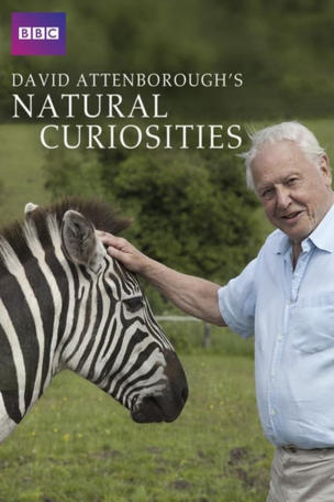 David Attenborough's Rariteitenkabinet