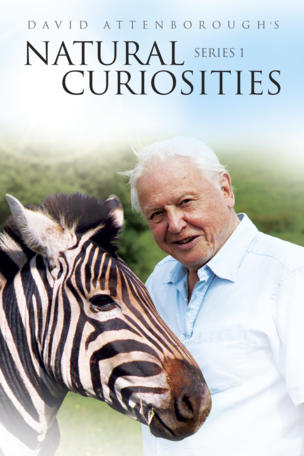 David Attenborough's Rariteitenkabinet_0001