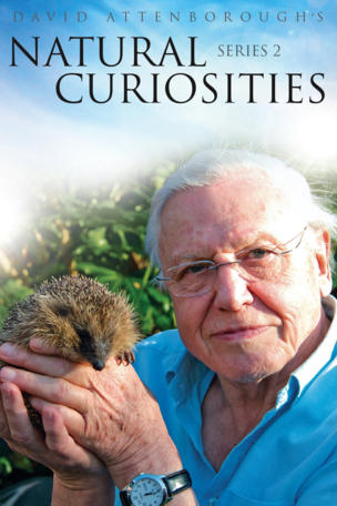 David Attenborough's Rariteitenkabinet_0002