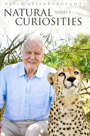 David Attenborough's Rariteitenkabinet_0003