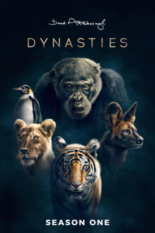 Dynasties_0001