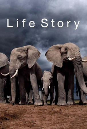 Life Story_0001