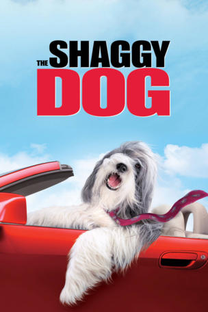 Shaggy Dog