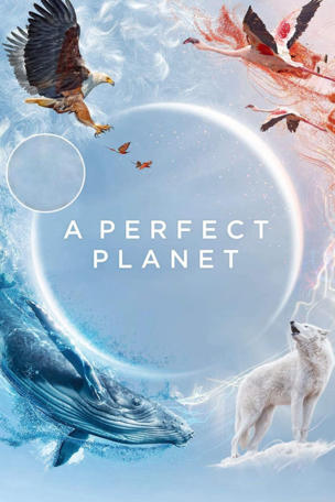 Perfect Planet
